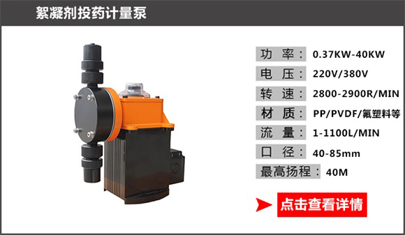絮凝劑投藥計(jì)量泵 絮凝劑投藥計(jì)量泵
