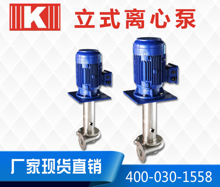 立式離心泵 立式離心泵